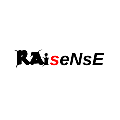 RAiseNsEのショップロゴ